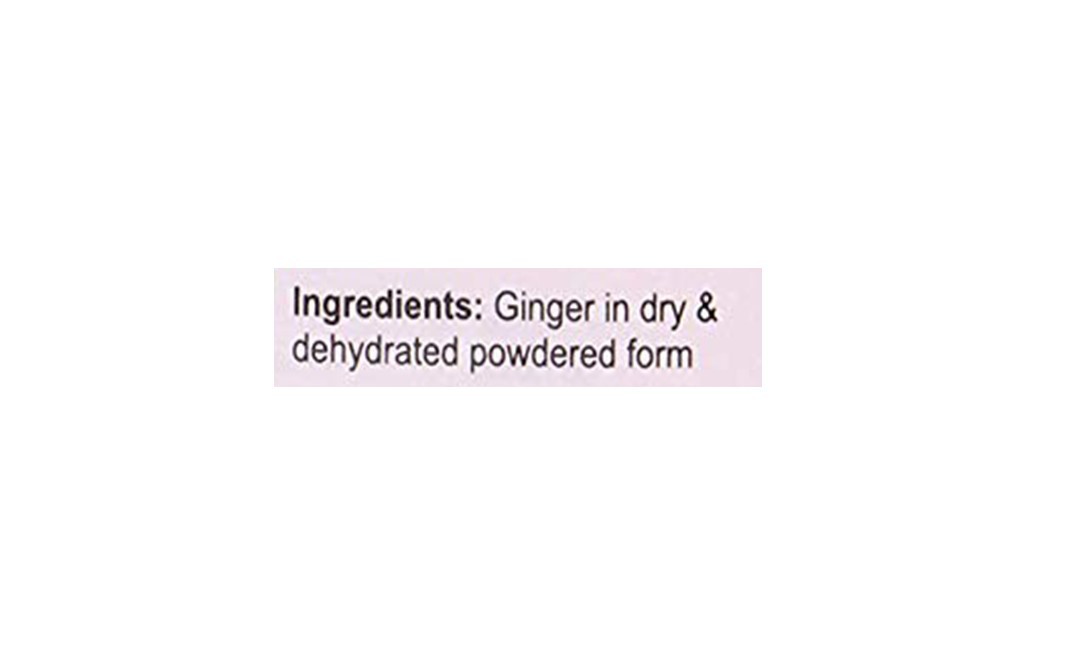 Foodfrillz Ginger Powder    Plastic Jar  60 grams